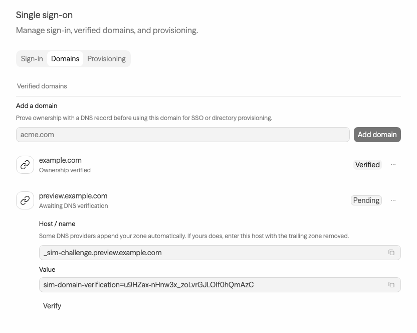 Domains tab showing a verified domain and the DNS record for a pending domain
