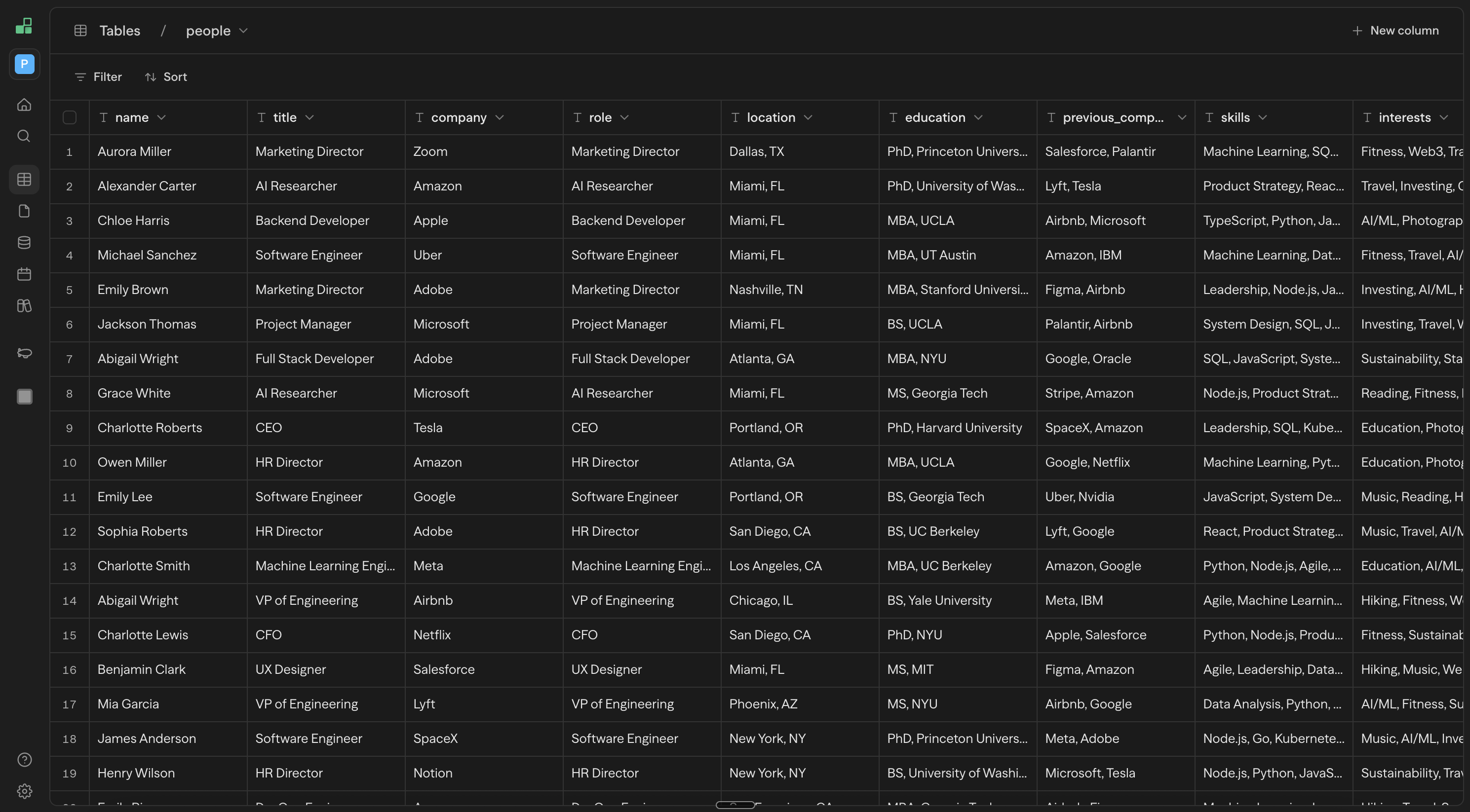 A table of typed columns: name, title, company, role